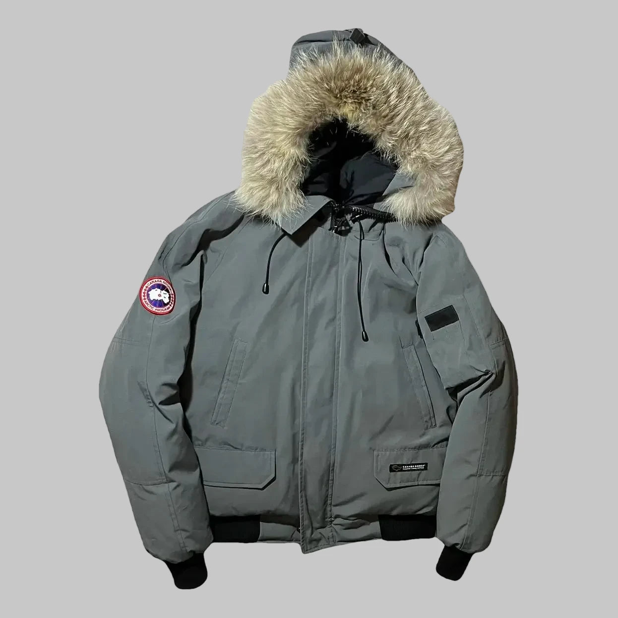 Canada Goose
