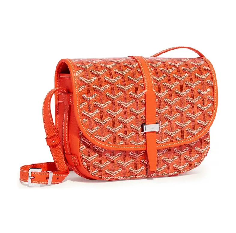 Goyard bag