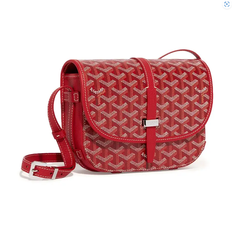 Goyard bag