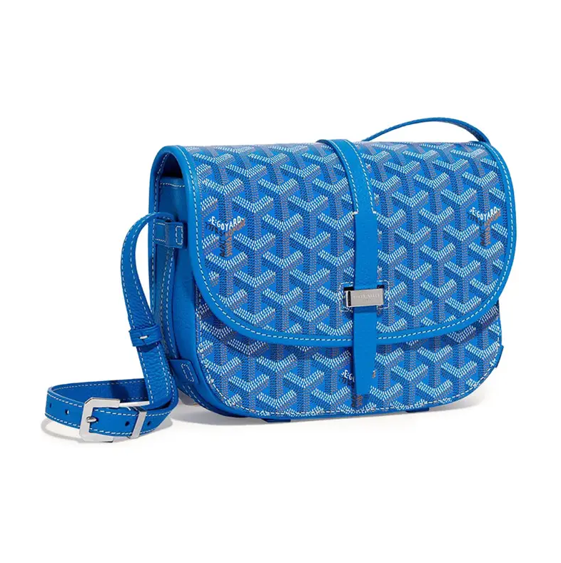 Goyard bag